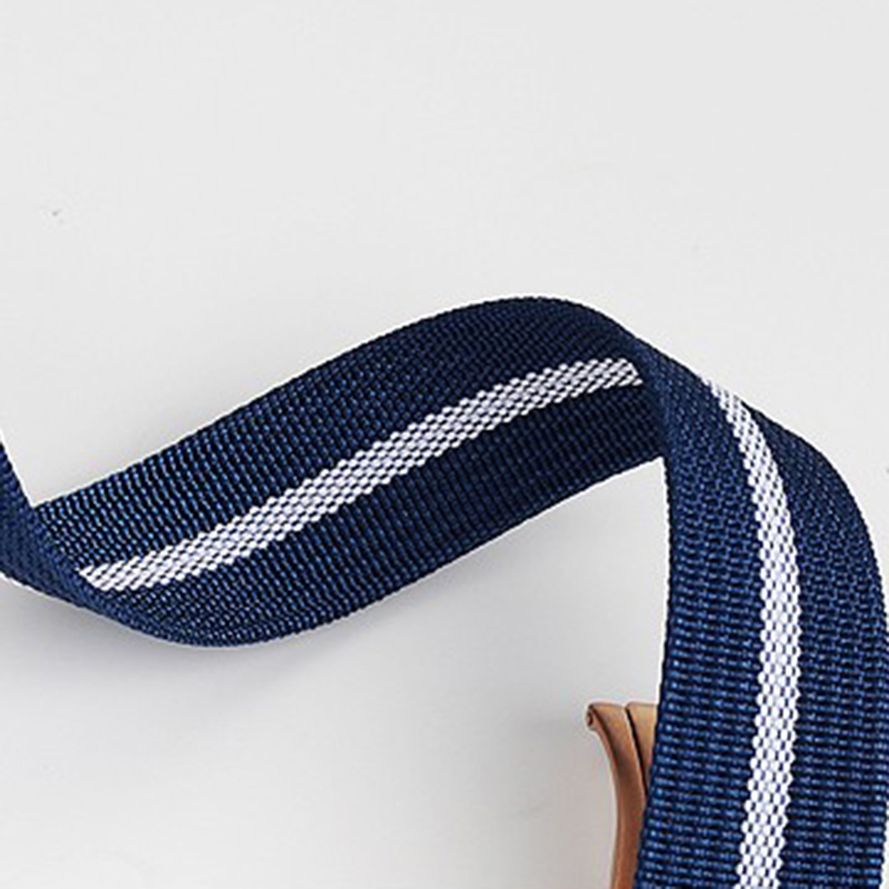 Neues Design integriertes Canv – Nylon Nato Strap Bewertung und Preis